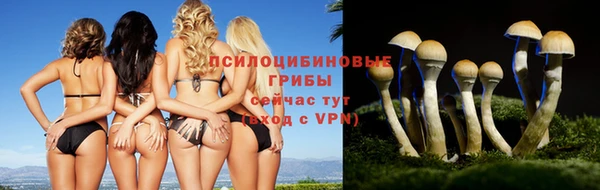 ALPHA-PVP Алзамай