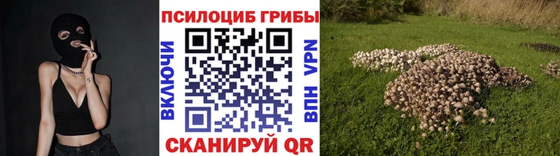 Галлюциногенные грибы MAGIC MUSHROOMS  Белгород 